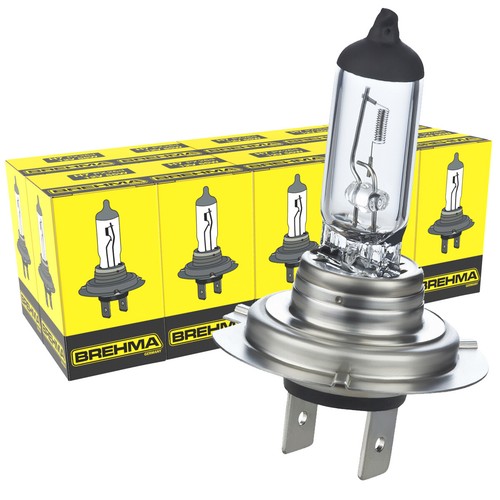10x birnen 12v - 10x,